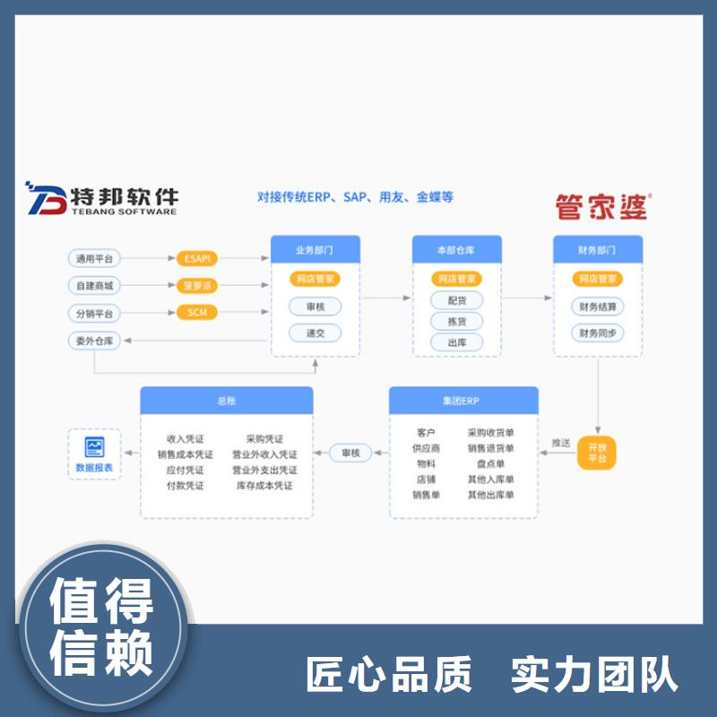 软件_进销存系统2024专业的团队