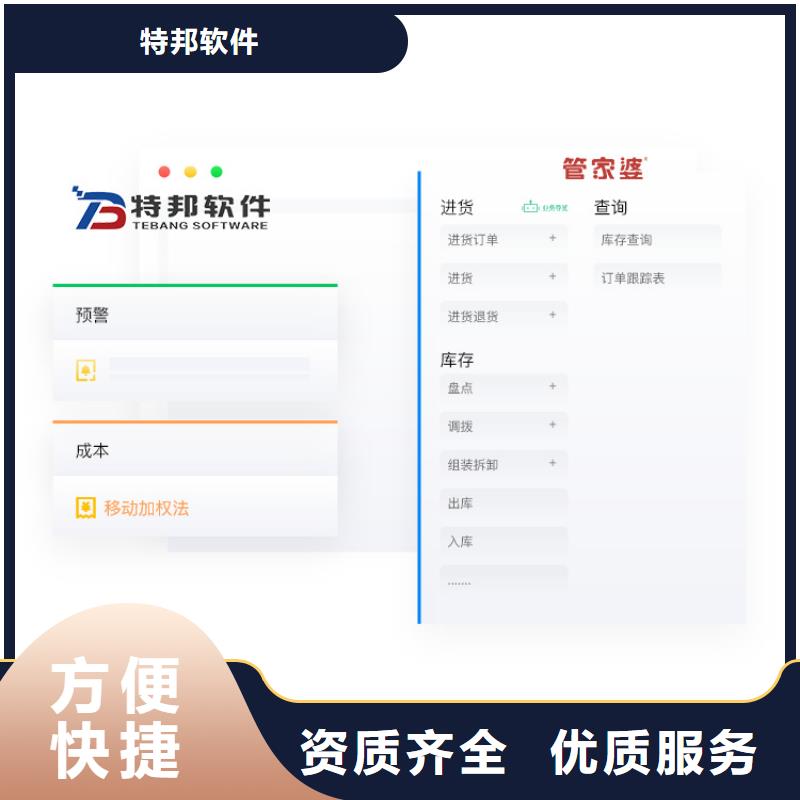 软件管家婆管理软件2024专业的团队