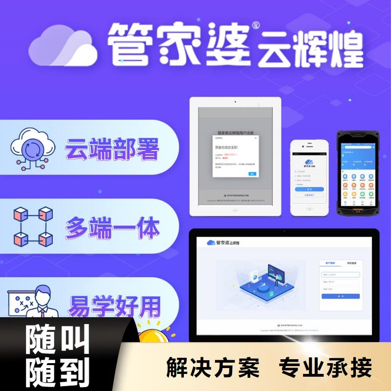 软件记账软件公司