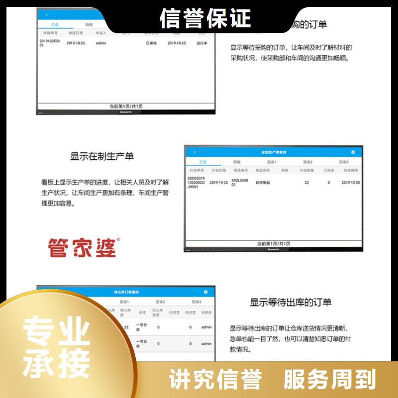 软件管家婆软件解决方案