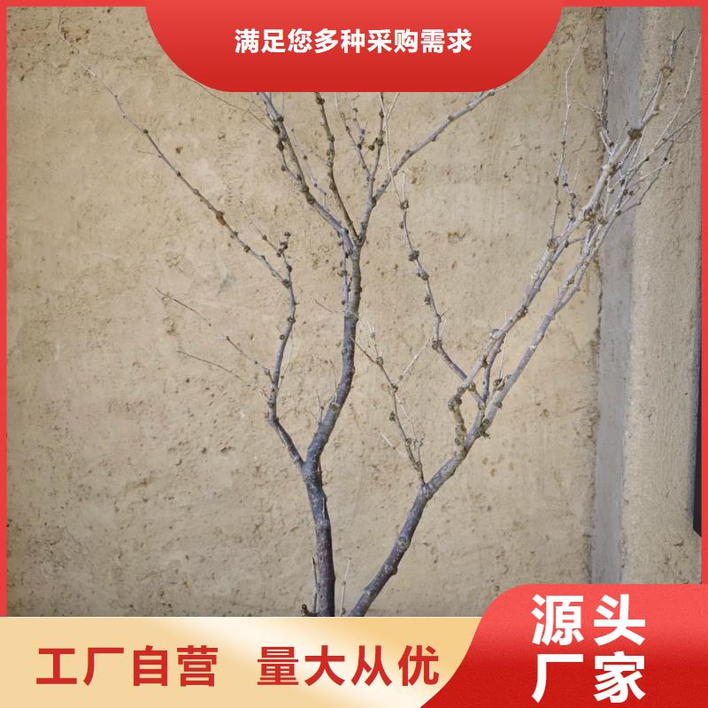 施工价格仿泥巴稻草漆支持拿样