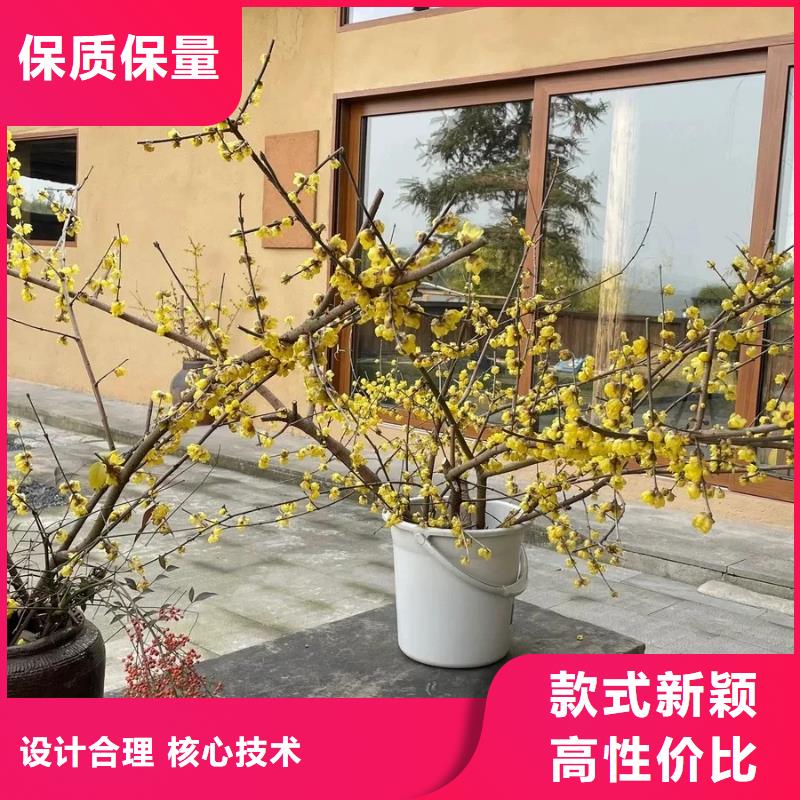 怎么施工景区建筑稻草漆全包施工