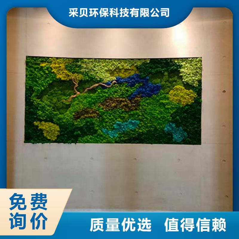 艺术灰泥墙面漆-视频-山东省东营市|河口|利津|枣庄|莱芜|滨州|济宁艺术灰泥墙面漆-采贝