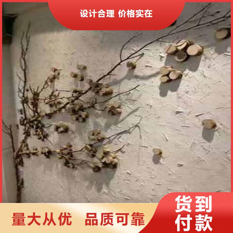 采贝艺术灰泥墙面漆雅晶石-【水泥墙面木纹漆】多家仓库发货aq00.com