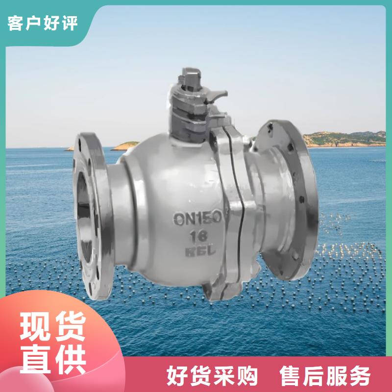 水力控制阀【立式止回阀】好货有保障