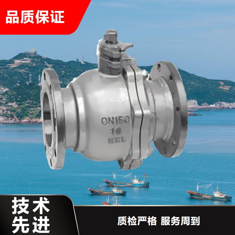 【水力控制阀300X缓闭止回阀打造行业品质】