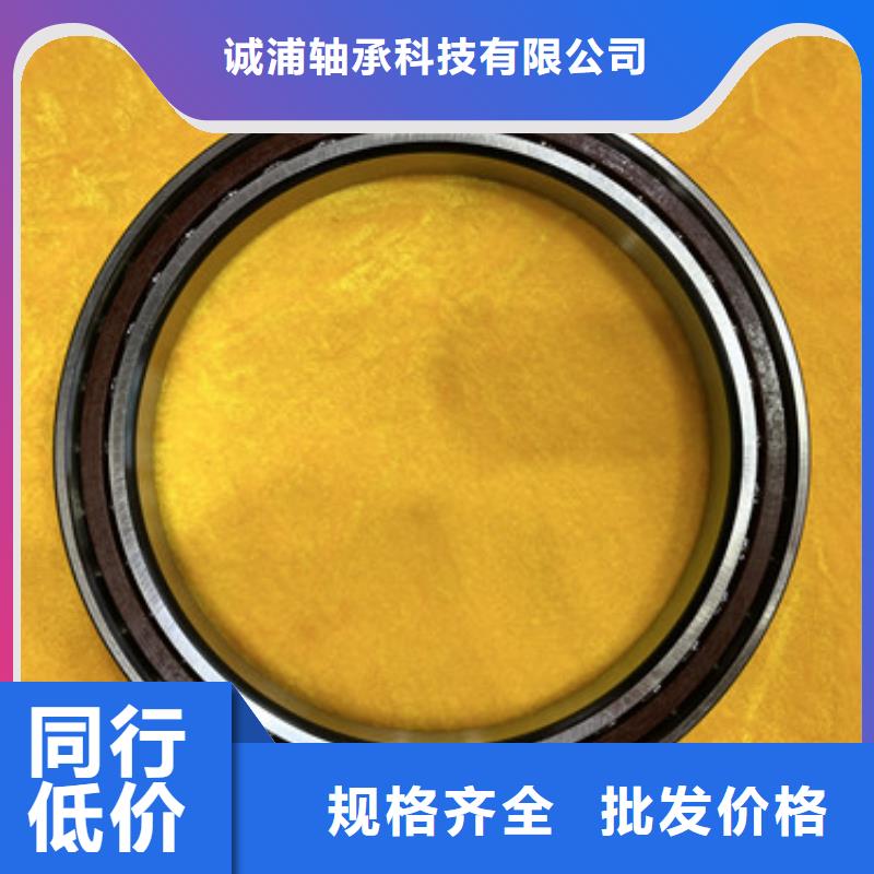 不锈钢轴承6309NSK深沟球轴承支持大批量采购