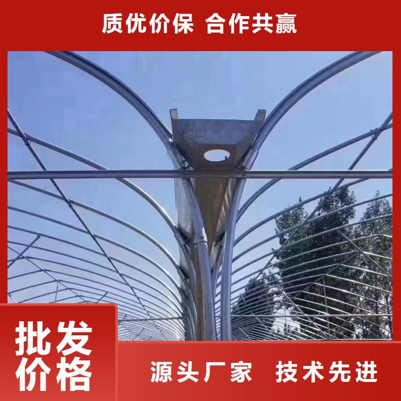 【蔬菜大棚】-玻璃温室大棚有实力有经验 金荣圣金属制品(玉树市分公司)
