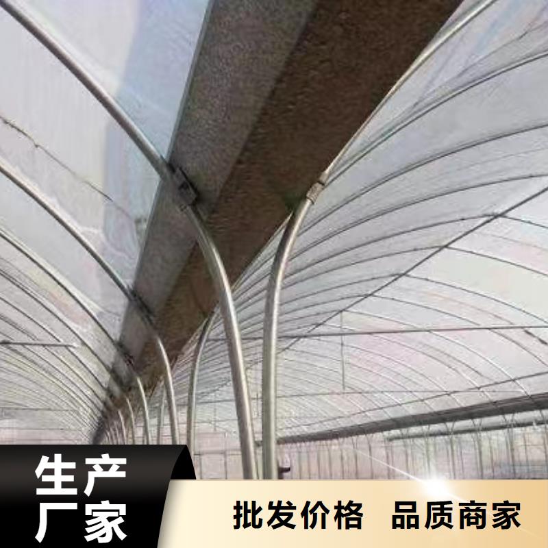 【蔬菜大棚】-玻璃温室大棚有实力有经验 金荣圣金属制品(玉树市分公司)
