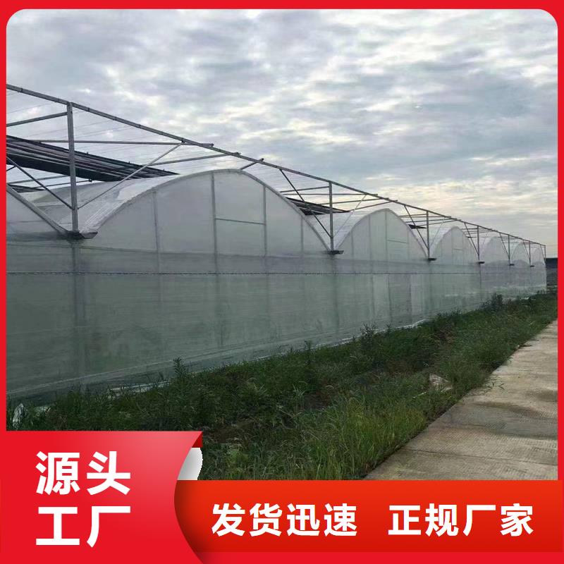 【蔬菜大棚】-玻璃温室大棚有实力有经验 金荣圣金属制品(玉树市分公司)