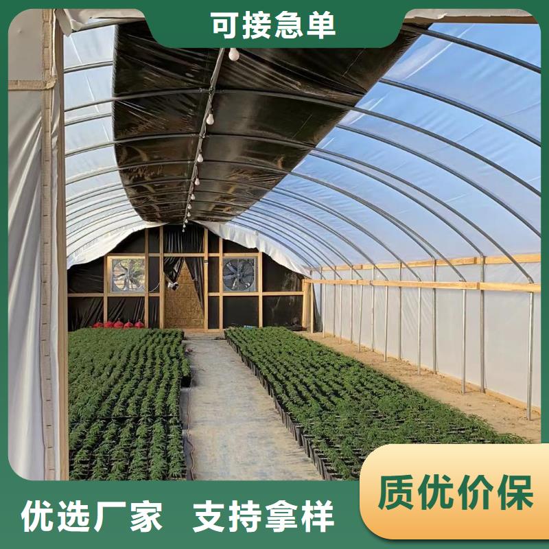 【蔬菜大棚】-玻璃温室大棚有实力有经验 金荣圣金属制品(玉树市分公司)
