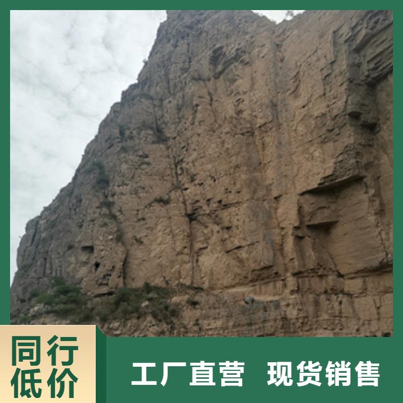 进口发电机变压器租赁厂家热销