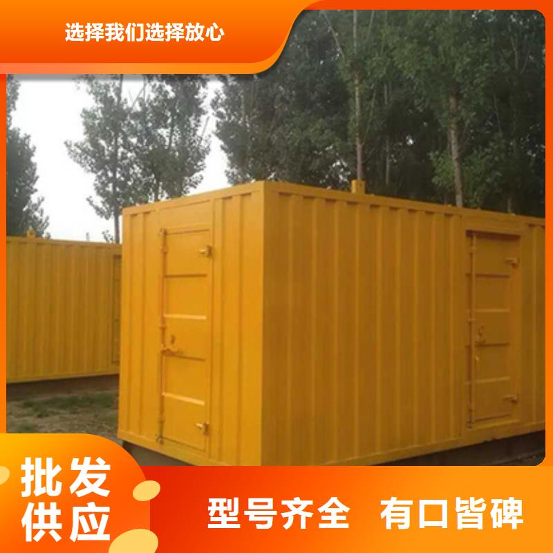 进口柴油发电机租赁灵活方便