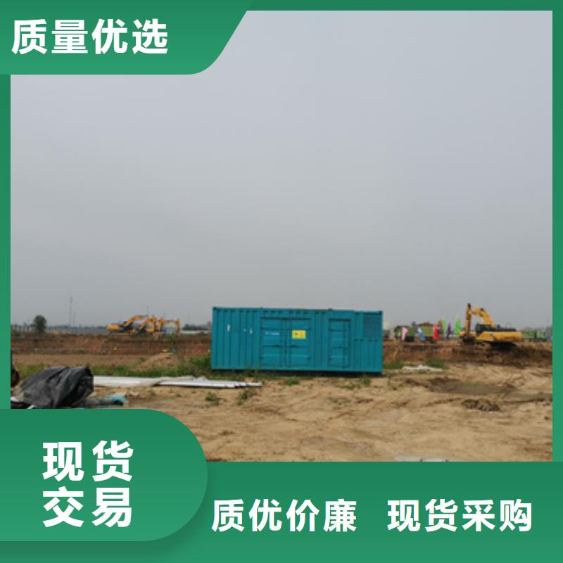 国产柴油发电机租赁省时省力