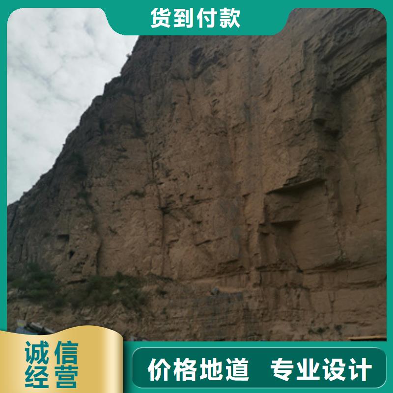 特殊型号柴油发电机租赁服务到位