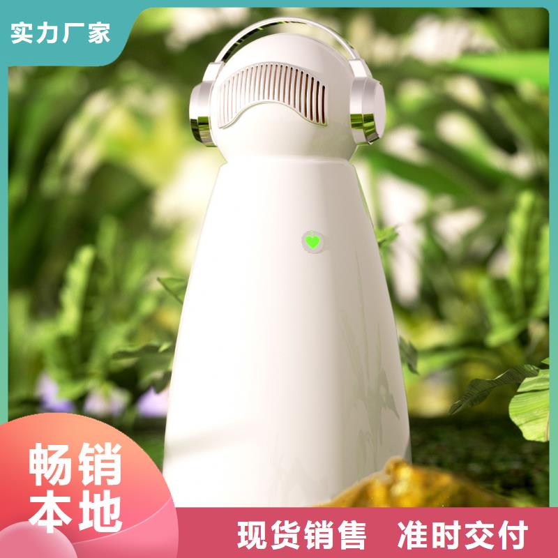 小白祛味王车载空气净化器供应通过检测