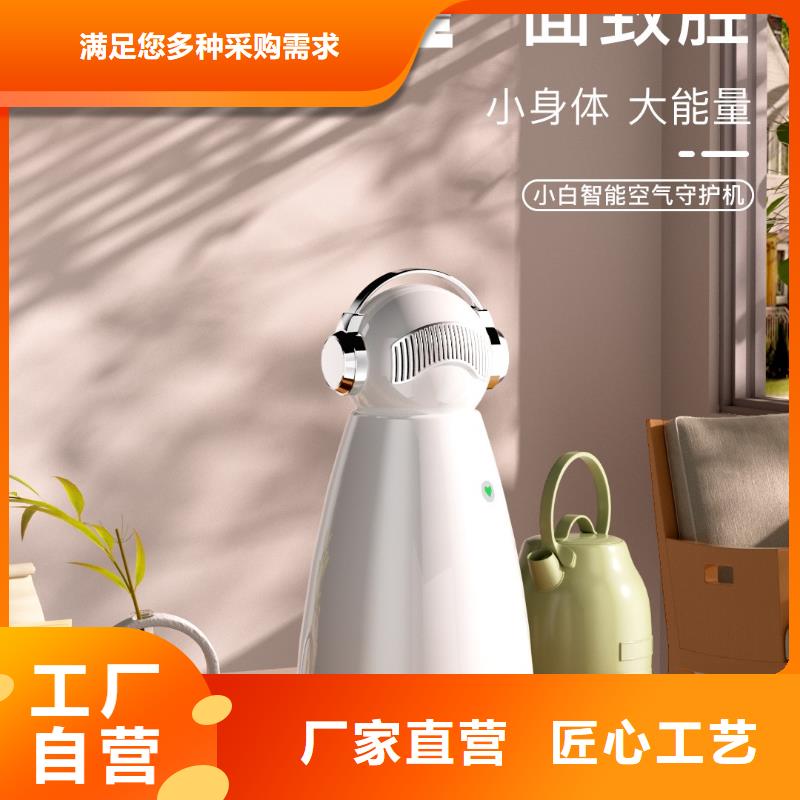 【小白祛味王】车载空气净化器批发专业完善售后
