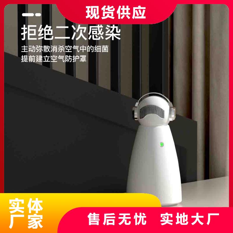 小白孕妇空气守护机智能空气净化器生产厂家做工精细