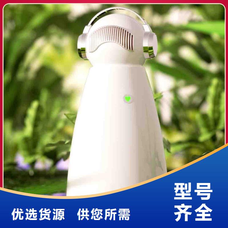小白孕妇空气守护机供应小白祛味王老品牌厂家