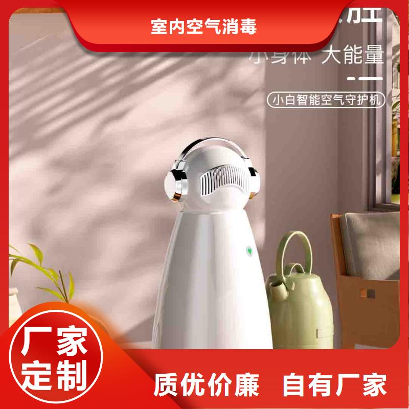 小白孕妇空气守护机空气消毒机源厂定制