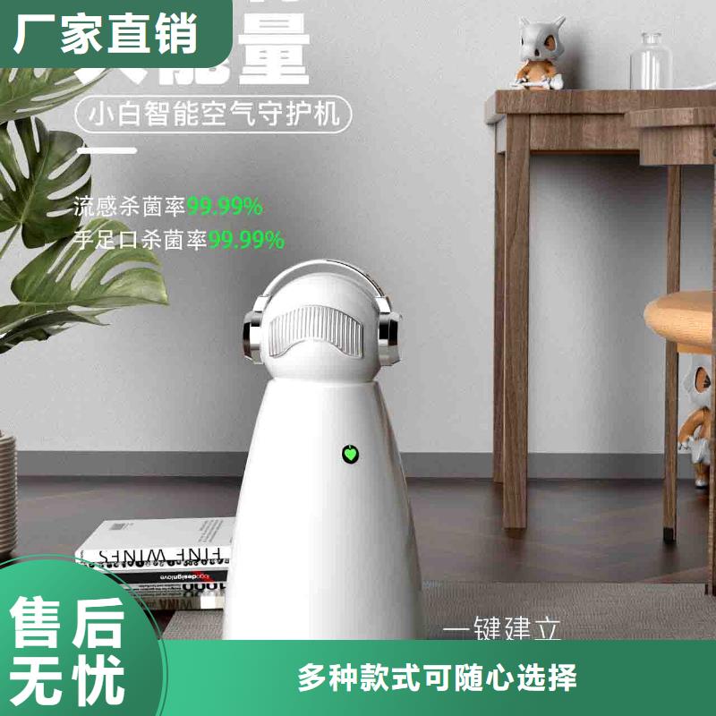 小白空气守护机厂家工艺先进