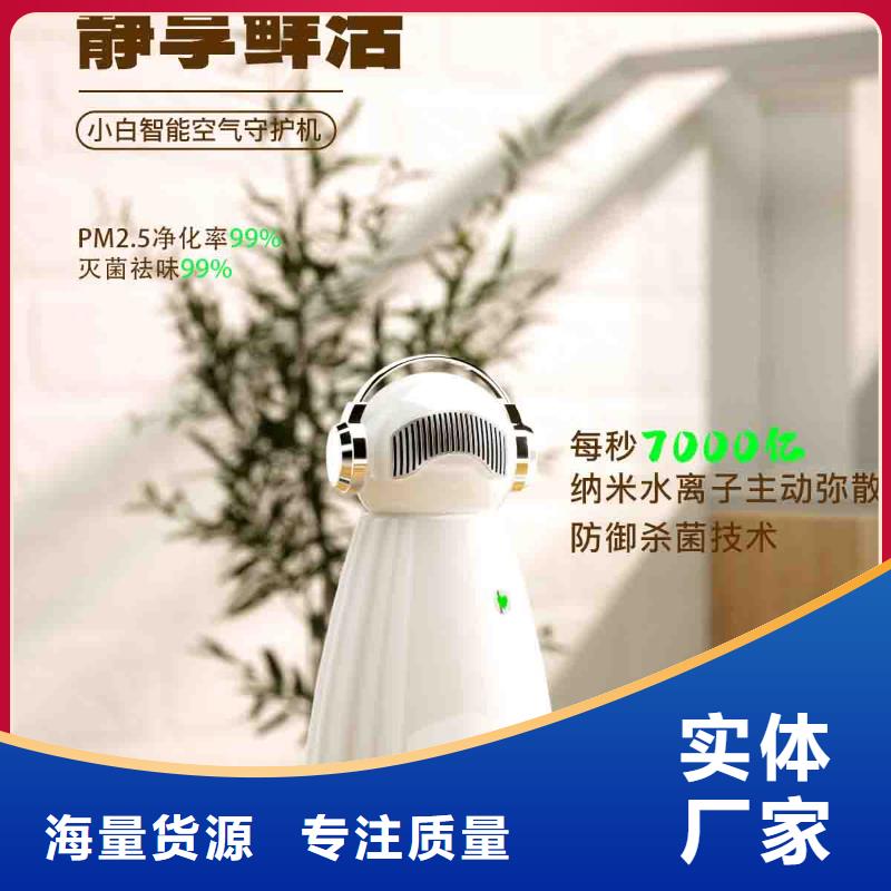小白空气守护机车载空气净化器销售热线追求品质