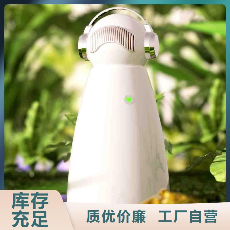 小白空气守护机车载空气净化器销售热线追求品质