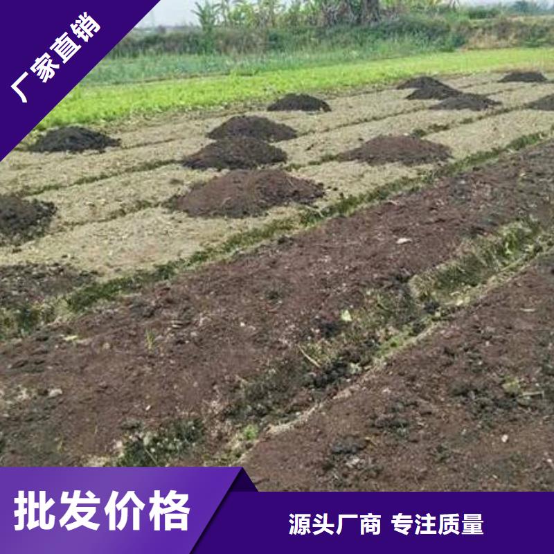 有机肥好用吗