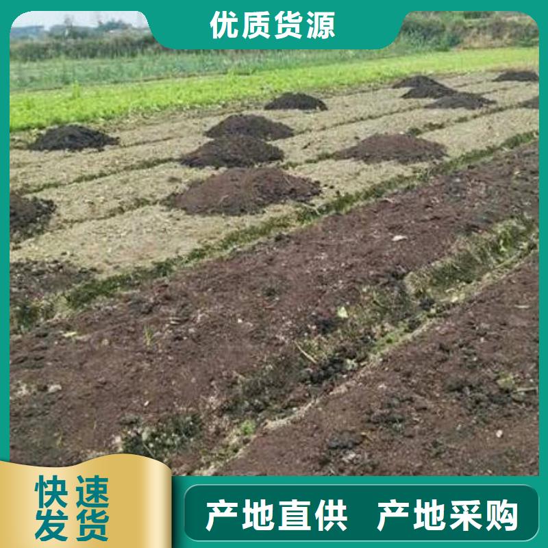 羊粪有机肥改善土壤环境