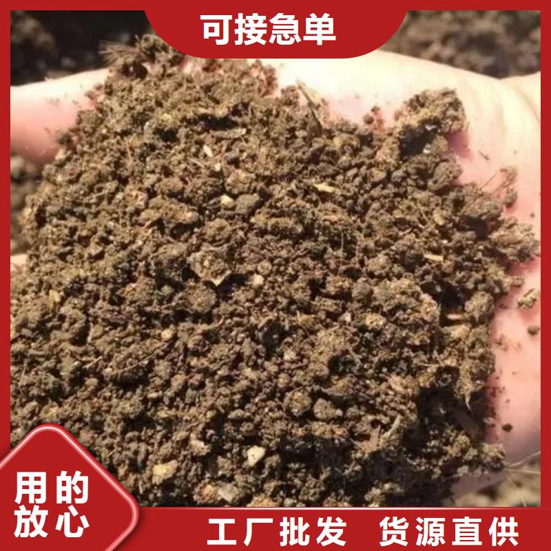 白沙县晒干鸡粪用法