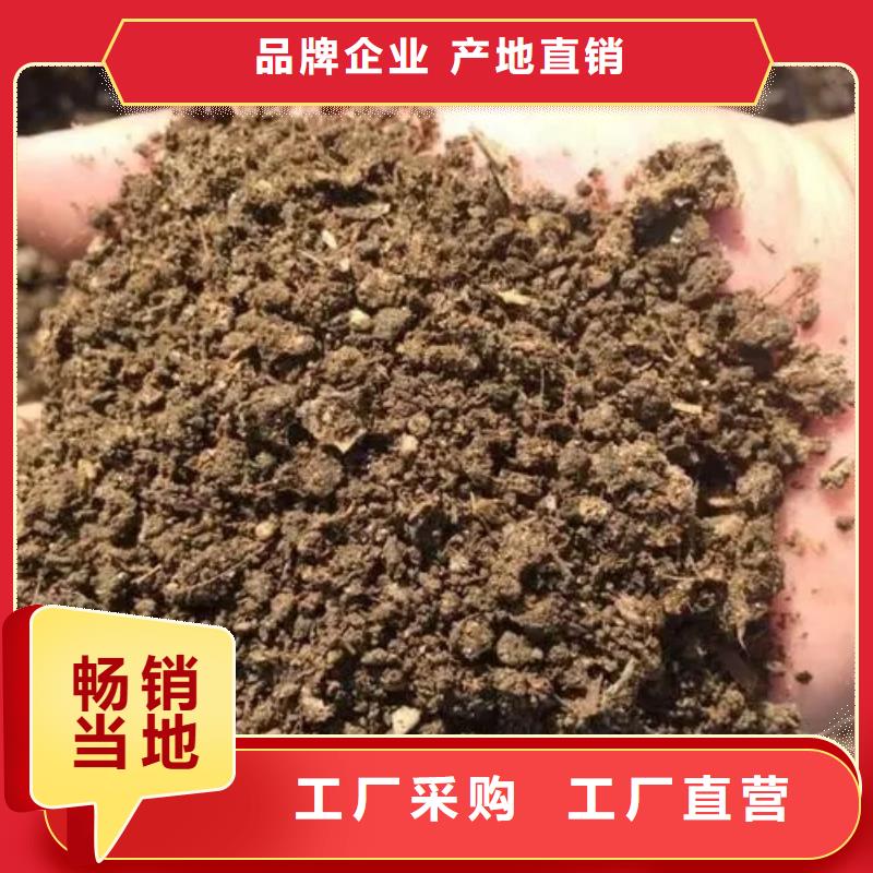 肥水鸡粪邻居告诉我的