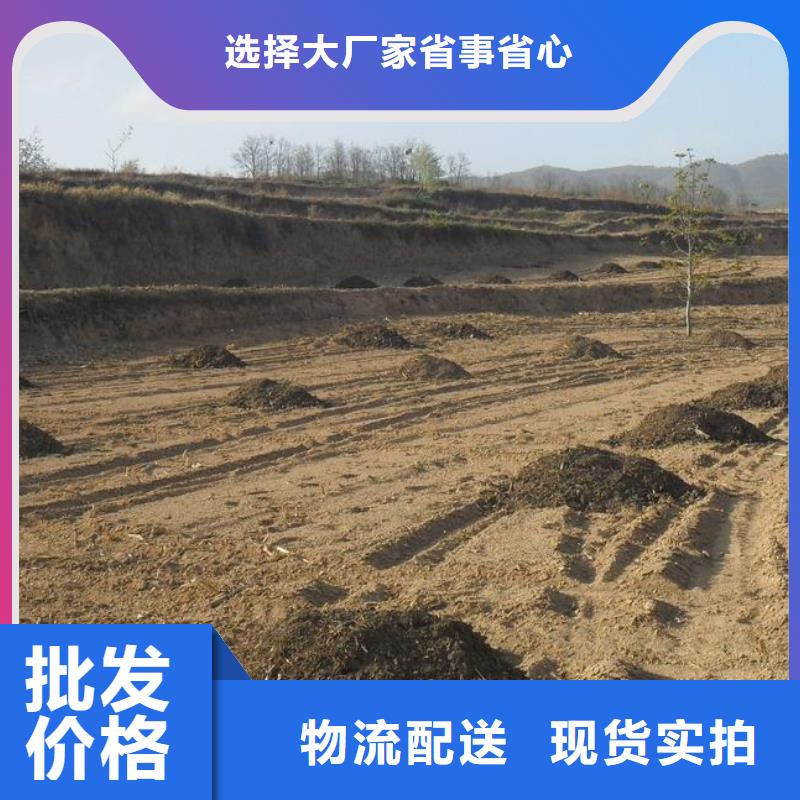 发酵纯鸡粪货真价实