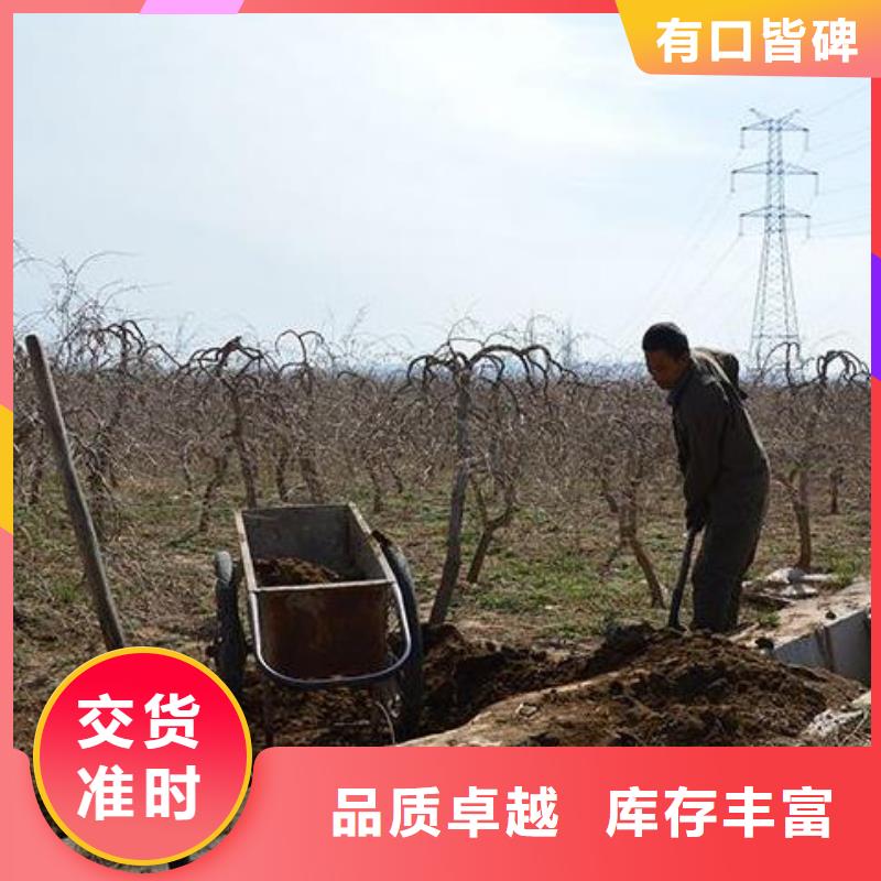 有机肥如何用