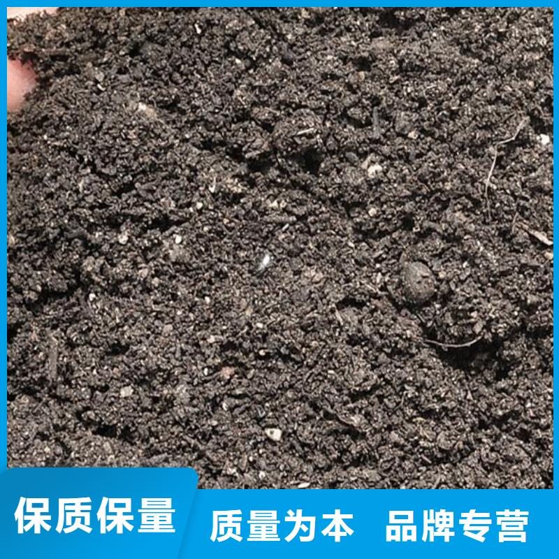 干鸡粪块发货够快