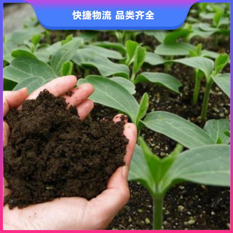干鸡粪肥田沃土