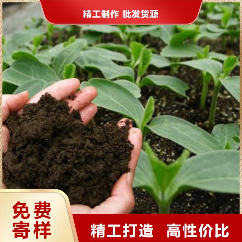 晒干鸡粪庄稼产量高