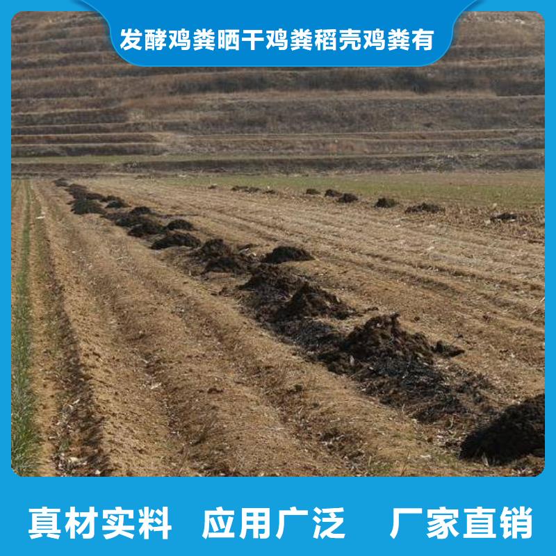 有机肥后劲足