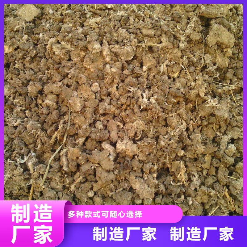 特别行政区干鸡粪块老百姓知道