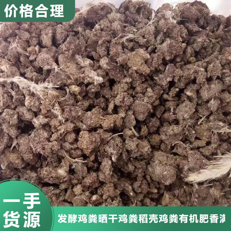 深圳市光明街道干鸡粪块老百姓的农家肥