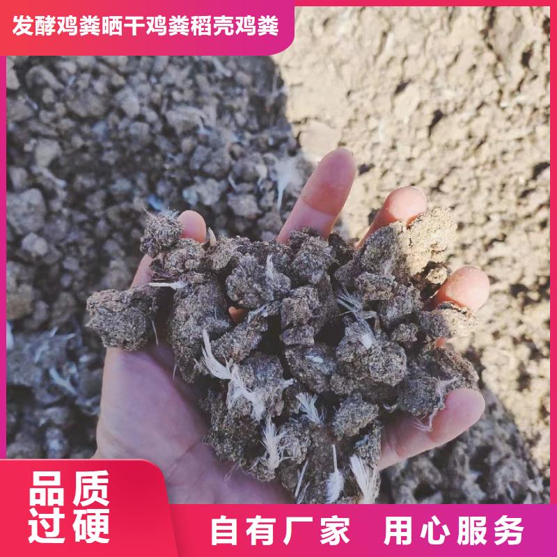 发酵鸡粪苹果专用施肥