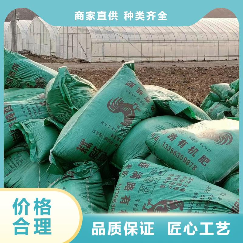 晒干鸡粪庄稼产量高