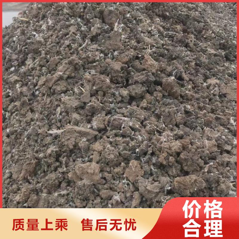 发酵鸡粪价格合适