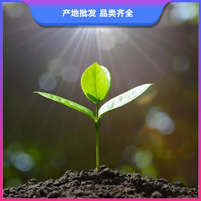 发酵鸡粪洽谈咨询