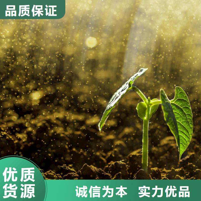 稻壳鸡粪改善蔬菜品质