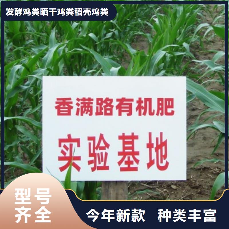 晒干鸡粪好货供不应求