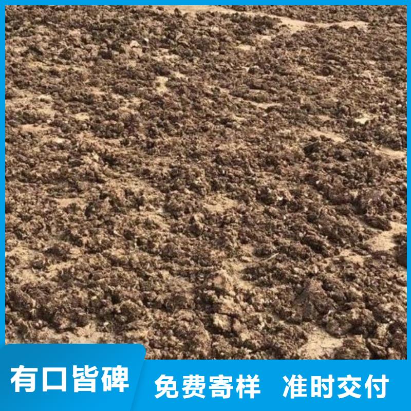 鸡粪有机肥增加农产品口感
