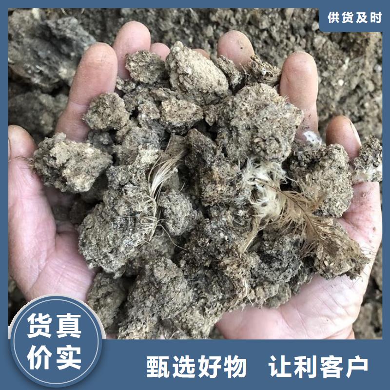 发酵鸡粪供货及时