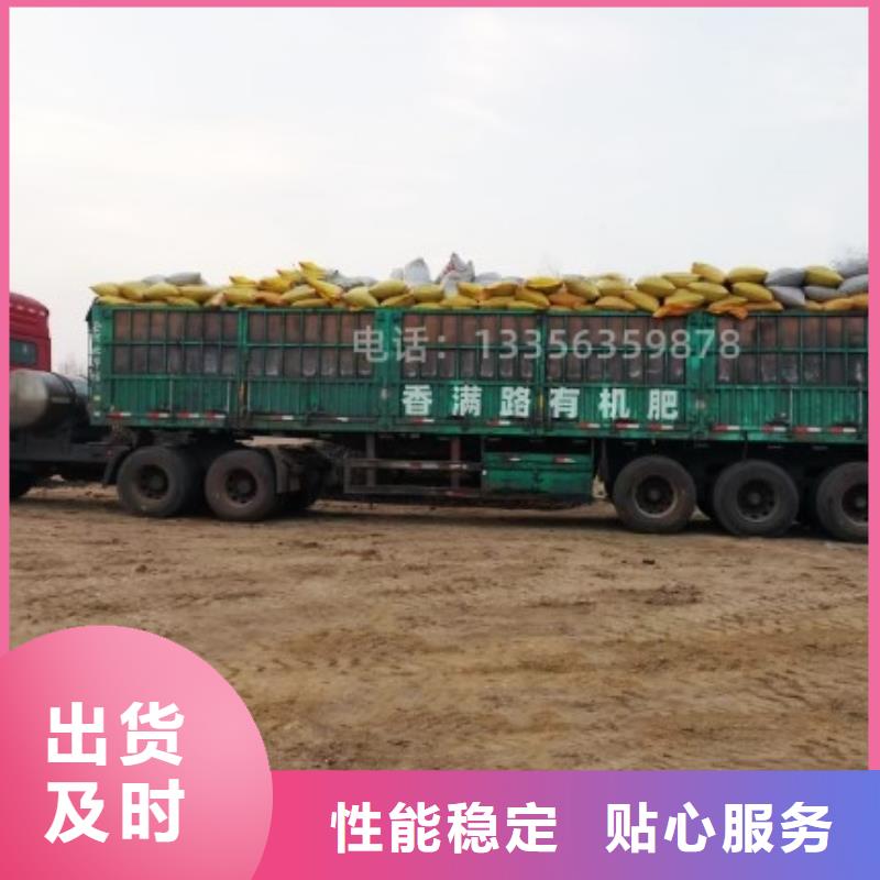晒干鸡粪香满路是希望