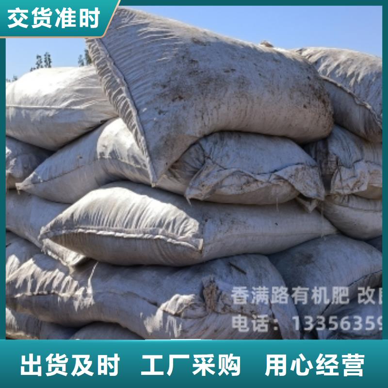 发酵羊粪供应基地