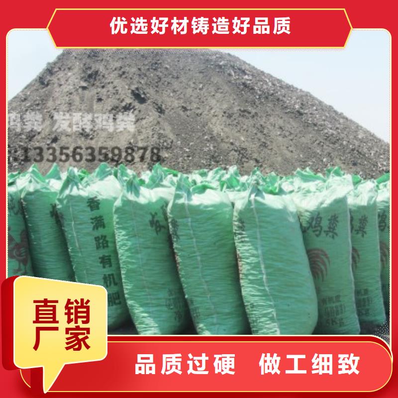 发酵羊粪使豆角多收几茬